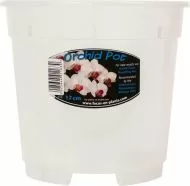 Clear orchid pot, 17 cm