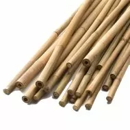 Bamboo plant support stake