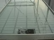 Standard greenhouse trays