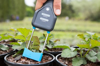 Parametrii de bază pentru plante sănătoase