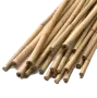 Altele