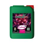 Dutchpro CalMag 5l - Calciu și Magneziu