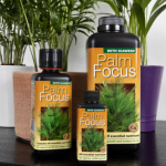 Palm Focus 300ml - Îngrășământ pentru plante de palmier