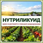 Nutri Liquid 1l – îngrășământ lichid organic cu azot și carbon