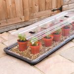 Propagator Stewart Essentials