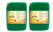 Ferro COCO BLOOM A&amp;B 2x10л. 