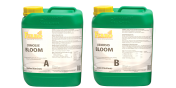 Ferro OSMOSIS BLOOM A&amp;B 2x5L