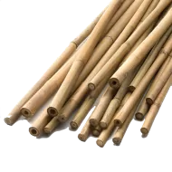 Bamboo Stick 152cm ⌀ 10/12mm 1pc for plants and vegetables