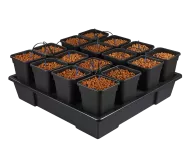 Atami Wilma 16 - Hydroponic system