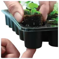 Tavă pentru răsaduri cu 60 de fante ROOTIT