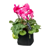 Ghiveci textil cu mânere Gronest Classic Pot 25l