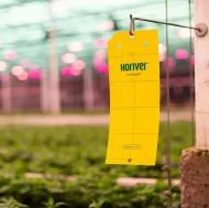 Horiver sticky trap for insects - 10 pcs. (yellow, 10x 5cm)