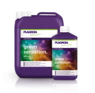 PLAGRON Green Sensation 5l. - amplificator de inflorire pentru randamente maxime