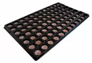 Jiffys 33mm pad 84 Cell Tray/pentru Jiffys-7