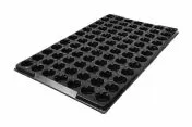 Jiffys 33mm pad 84 Cell Tray/pentru Jiffys-7