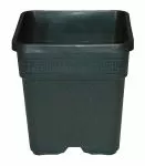 Ghiveci VEGA BLACK 5l.