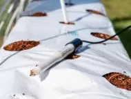 Bluelab Leap pH Probe - sondă de pH cu vârf întărit