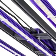 Lumatek LED Zeus 300W PRO EVO 3.1