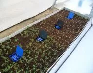 Autopot AQUAbox drept
