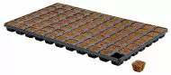 Eazy Plug CT77 tray 77 pcs. - Plugs / blocks for rooting and seedlings