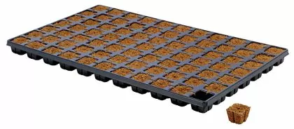 Tavă Eazy Plug CT77 77 buc. - Înrădăcinarea dopurilor/blocurilor și a răsadurilor