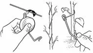 PLANTIT YoYo Plants and vegetables support system