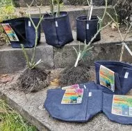 Gronest Transplanter Pot 19L fabric container