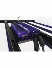 Lumatek LED Zeus 1000W PRO - Lampă LED cu benzi multiple pentru creștere și înflorire