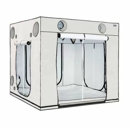 HOMEbox Ambient Q240+ - Cort de creștere (240 x 240 x 220 cm)