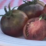 Black Aztec - 15 semințe - Tomate