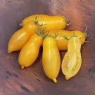 Roșii „Pipe de banană” (ardei galben) 15 semințe
