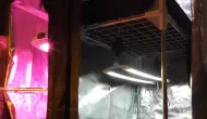 Secret JardinTNoled 2 x 20W - Lămpi LED pentru plante cu flori - 2buc.