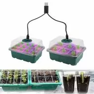 SET of 2 Small Propagator witt LED light 19/15cm.