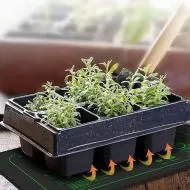 Pernă de încălzire pentru mini pepiniere 50 x 25 cm.