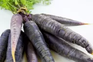 Soi de semințe de morcov „Black Nebula” / „Deep Purple” (Scorzonera hispanica / Black Nebula / Deep Purple F1) 500 buc