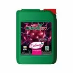 Dutchpro CalMag 5L - Calcium and Magnesium