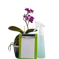 Orchid Myst 300ml. - Fertilizer for Orchids (spray)