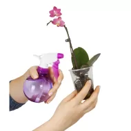 Orchid Myst 300ml. - Fertilizer for Orchids (spray)