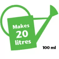 Palm Focus 300ml - Îngrășământ pentru plante de palmier