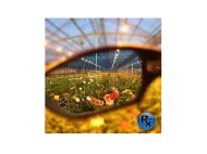 Newlite Vision - ochelari pentru lămpi HPS