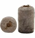 Jiffy-7 41mm. - Pelete de turba presata / dopuri / saibe - 1 buc.