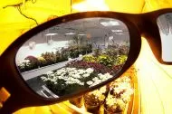 LUMii Growroom Lenses
