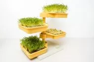 Sistem hidroponic Babylon Garden pentru locuinte, 4 culturi concomitente, aplicatie inteligenta + CADOU