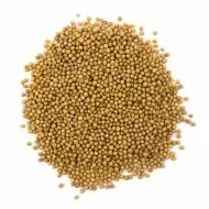 Semințe de microplantă de muștar alb organic - 100 g.
