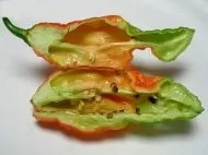 Ghost pepper (Capsicum chinense - 