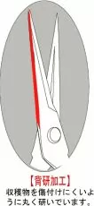 Professional garden shears for picking fruits, vegetables and flowers, 185 mm - CHIKAMASA T-550