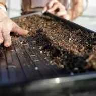 Tavă flexibilă pentru microplante și răsaduri 31 x 51 x 4 cm