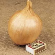 Ailsa Craig giant Onion seeds (Allium cepa) - 200 pcs. (1 gr.)