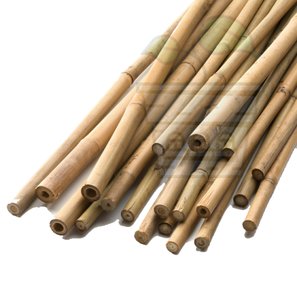 Cuie din bambus 152cm ⌀ 10/12mm 1 buc.