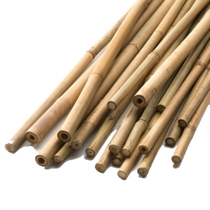 Țăruș de bambus pentru plante și legume 183cm ⌀ 12/14mm 1buc.